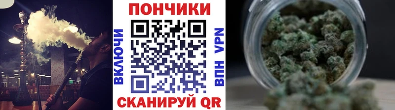Бошки марихуана гибрид  закладки  Солнечногорск 
